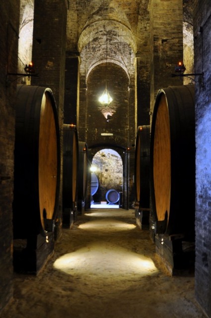 cameron-tuscany-montepulciano-cellars