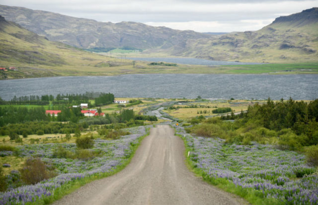 Literaire kunsten comfortabel Voorzitter How to Drive Iceland's Ring Road: The Ultimate 800-Mile Road Trip –  Camerons Travels | Rick Steves Europe