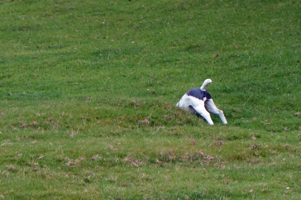 dog-in-hole-yard-ornament