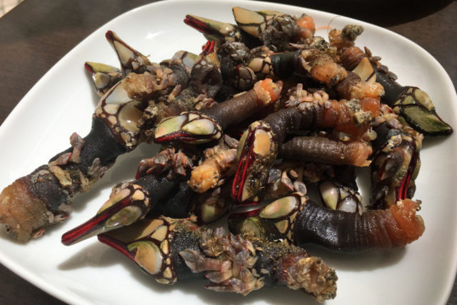 plate of barnacles