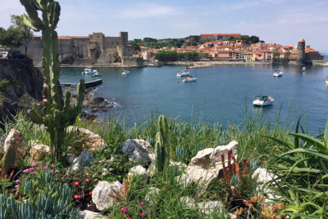 cluster of buildings of Collioure overlooking the sea