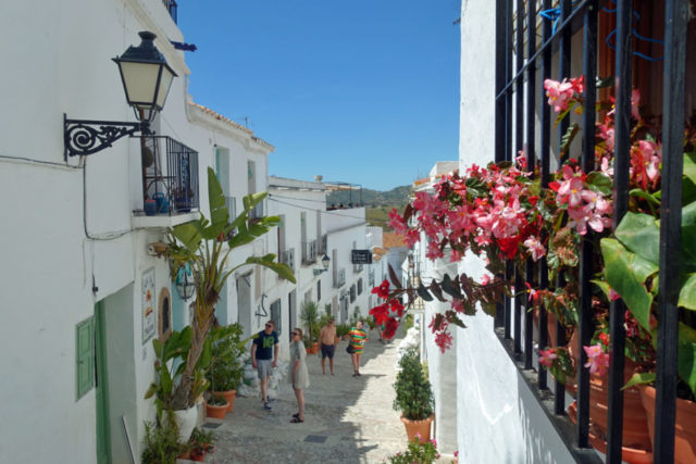 street lined with bright white buildings and pink flowers